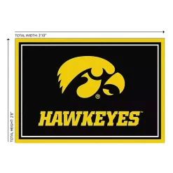 Kirklands Home Area Rugs|University of Iowa Area Rug, 3x4