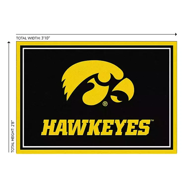 Kirklands Home Area Rugs|University of Iowa Area Rug, 3x4