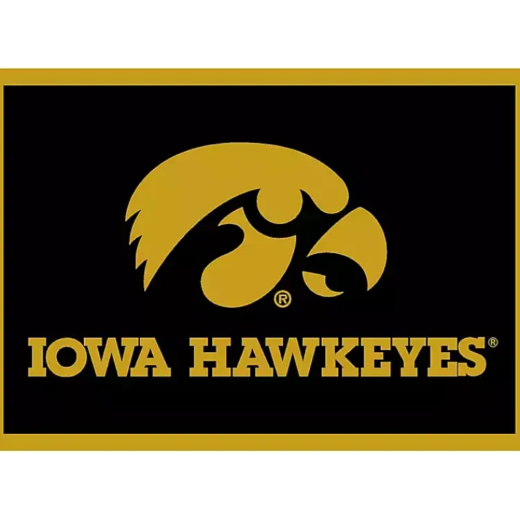 Kirklands Home Area Rugs|University of Iowa Area Rug, 4x6