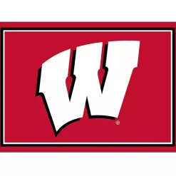 Kirklands Home Area Rugs|University of Wisconsin Area Rug, 3x4