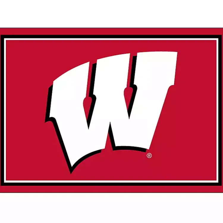 Kirklands Home Area Rugs|University of Wisconsin Area Rug, 3x4