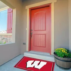 Kirklands Home Area Rugs|University of Wisconsin Area Rug, 3x4