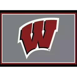 Kirklands Home Area Rugs|University of Wisconsin Area Rug, 4x6