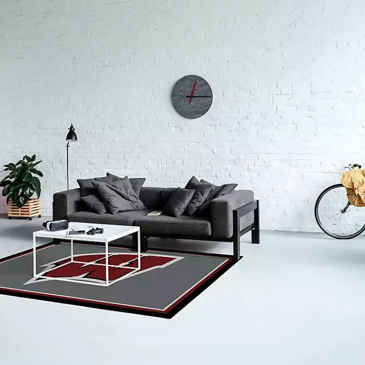Kirklands Home Area Rugs|University of Wisconsin Area Rug, 4x6