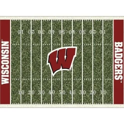 Kirklands Home Area Rugs|University of Wisconsin Homefield Area Rug, 6x8