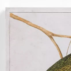 Kirklands Home Canvas Art|Vintage Birds Canvas Art Prints, Set of 2