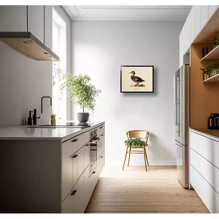 Kirklands Home Framed Art|Vintage Female Mallard Duck Framed Art Print