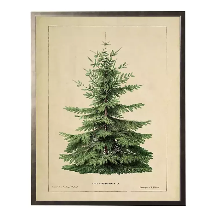 Online Vintage Fir Tree Framed Art Print Christmas Art & Wall Decor