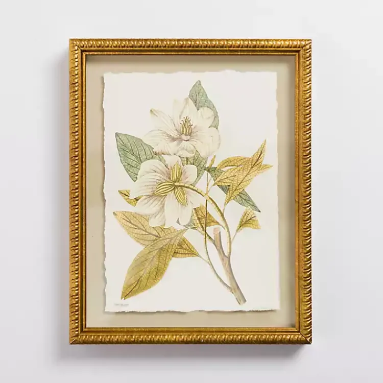 Kirklands Home Framed Art|Vintage Floral Gold Framed Art Print White