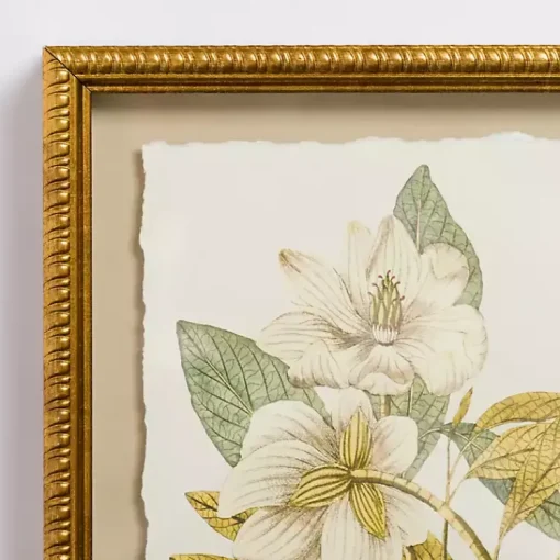 Kirklands Home Framed Art|Vintage Floral Gold Framed Art Print White