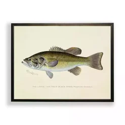 Kirklands Home Framed Art|Vintage Large Mouthed Bass Framed Art Print