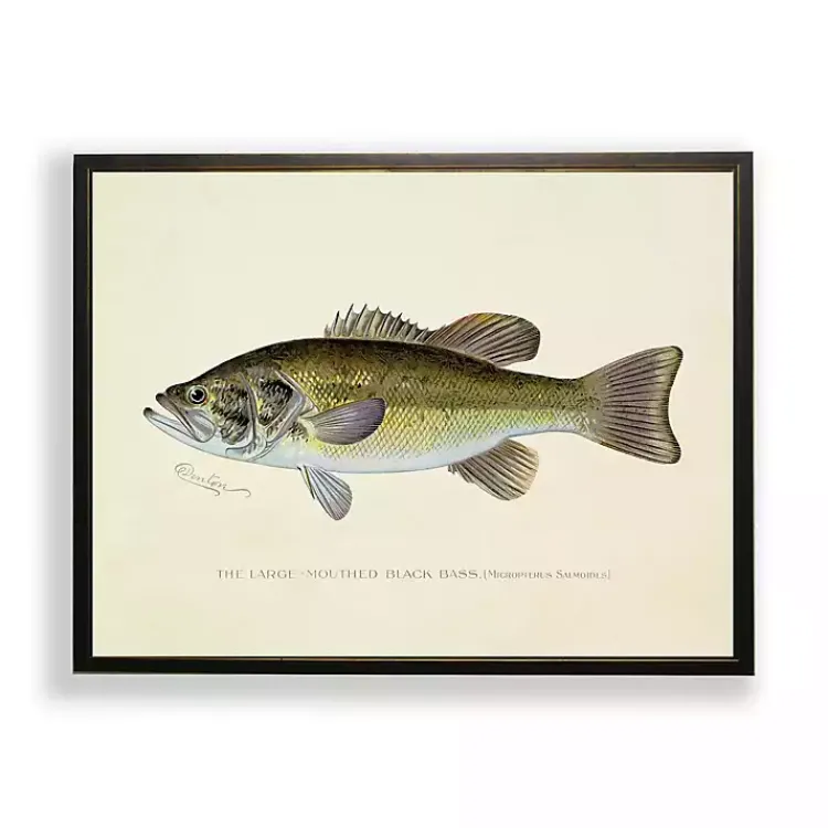 Kirklands Home Framed Art|Vintage Large Mouthed Bass Framed Art Print