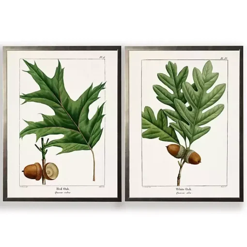 Kirklands Home Framed Art|Vintage Oak Leaves Framed Art Prints, Set of 2