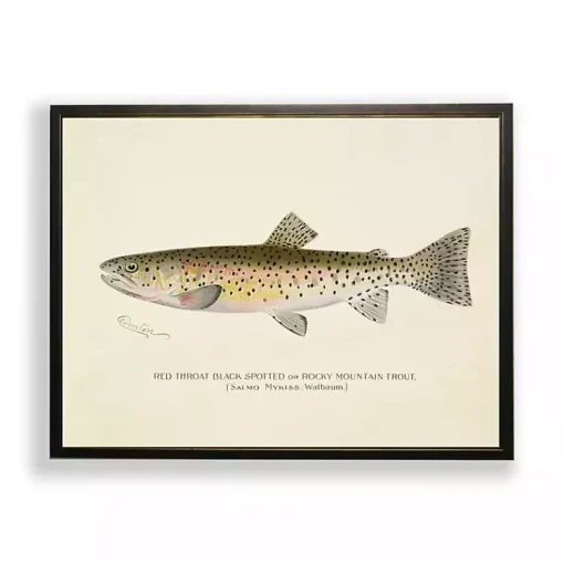 Kirklands Home Framed Art|Vintage Rocky Mountain Trout Framed Art Print