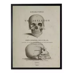 Clearance Vintage Skull Framed Halloween Wall Art Halloween
