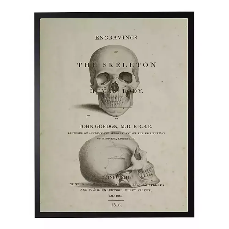 Clearance Vintage Skull Framed Halloween Wall Art Halloween