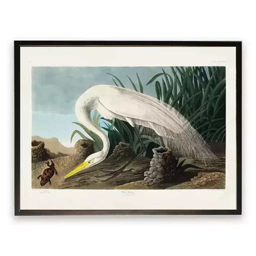 Kirklands Home Framed Art|Vintage White Heron With Lizard Framed Art Print