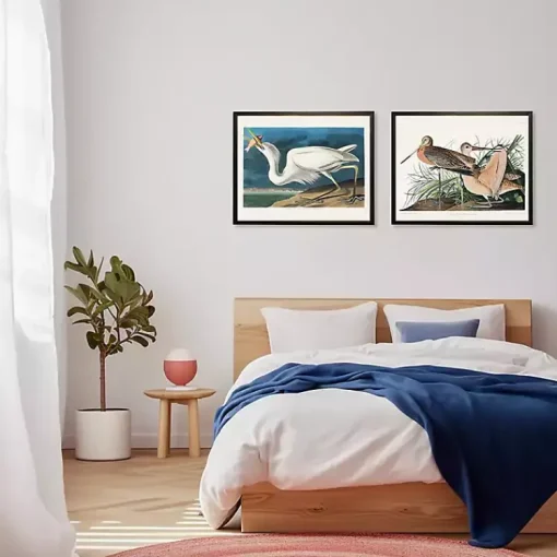 Kirklands Home Framed Art|Vintage White Pelican With Fish Framed Art Print