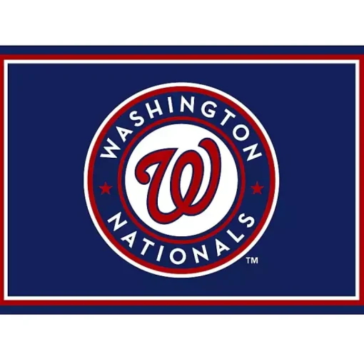Kirklands Home Area Rugs|Washington Nationals Spirit Rug, 3x4