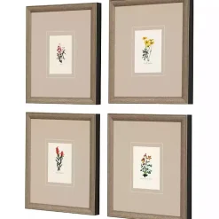 Kirklands Home Framed Art|Western Wildflower Framed Art Prints, Set of