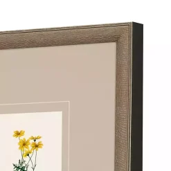 Kirklands Home Framed Art|Western Wildflower Framed Art Prints, Set of