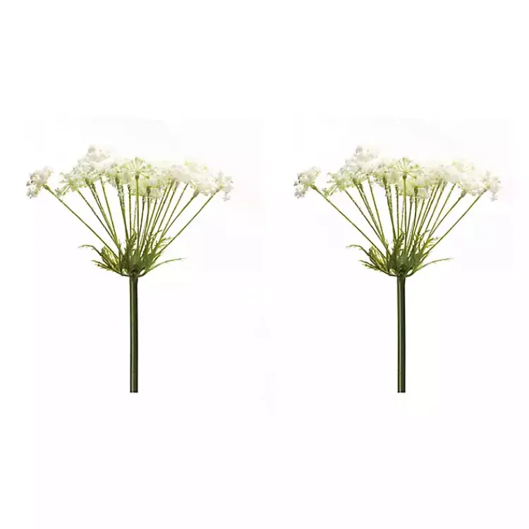 Best Queen Anne's Lace Stems, Set of 2 Stems & Bouquets