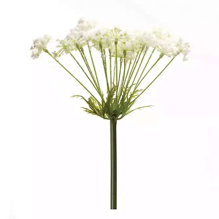 Best Queen Anne's Lace Stems, Set of 2 Stems & Bouquets