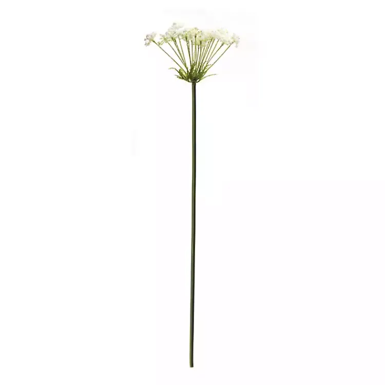 Best Queen Anne's Lace Stems, Set of 2 Stems & Bouquets