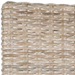 Kirklands Home Dining Chairs|White Rattan Curved Legs Dining Chairs, Set of 2