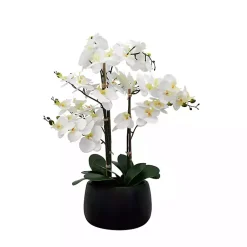 Hot White Real Touch Orchid Arrangement in Black Pot Arrangements & Greenery