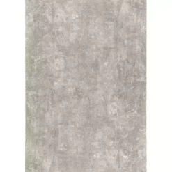 Kirklands Home Area Rugs|Whitlow Shag Washable Area Rug, 5x8 Gray