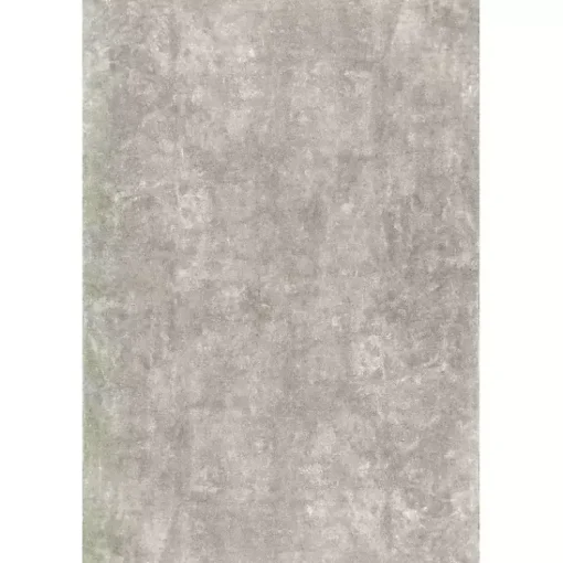 Kirklands Home Area Rugs|Whitlow Shag Washable Area Rug, 5x8 Gray