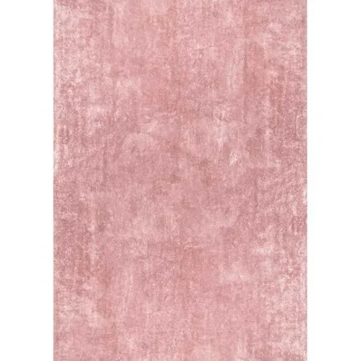 Kirklands Home Area Rugs|Whitlow Shag Washable Area Rug, 6x9 Pink