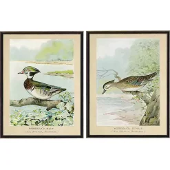 Kirklands Home Framed Art|Wood Duck Duo Framed Art Prints, Set of 2