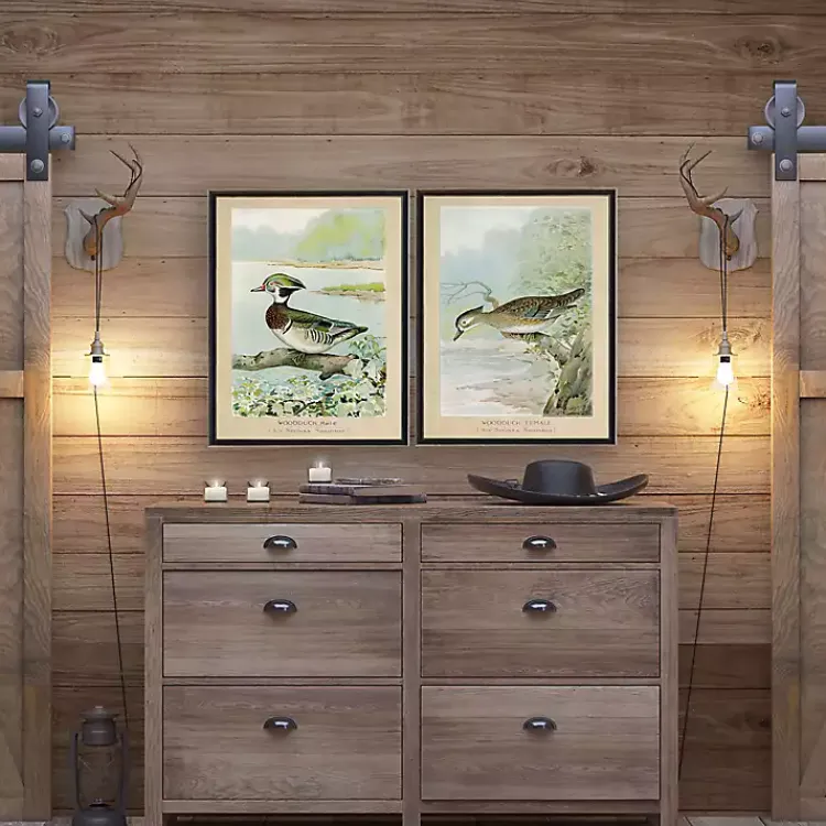 Kirklands Home Framed Art|Wood Duck Duo Framed Art Prints, Set of 2