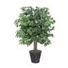New Wood Trunk Ficus Bush in Rattan Basket Trees & Topiaries