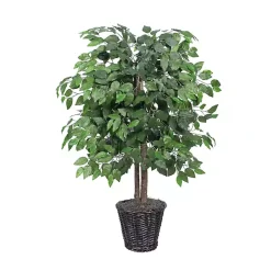 New Wood Trunk Ficus Bush in Rattan Basket Trees & Topiaries