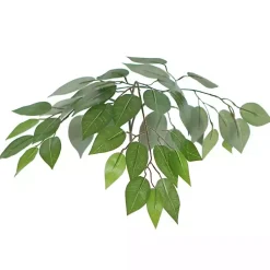 New Wood Trunk Ficus Bush in Rattan Basket Trees & Topiaries