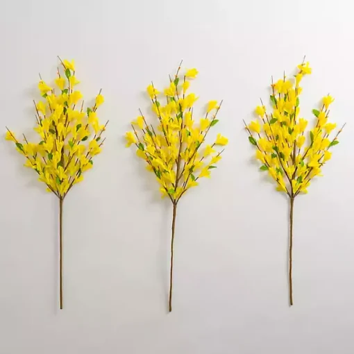 Sale Forsythia Stems, Set of 3 Stems & Bouquets