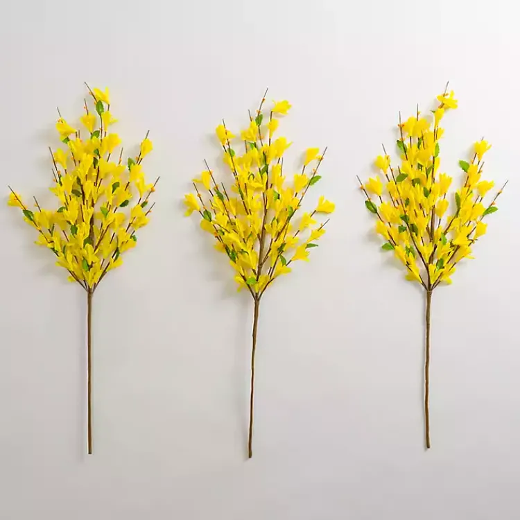 Sale Forsythia Stems, Set of 3 Stems & Bouquets