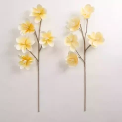 Online Japanese Magnolia Sprays, Set of 2 Stems & Bouquets