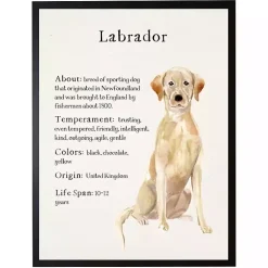Kirklands Home Wall Quotes & Signs|Yellow Labrador Facts Framed Wall Plaque