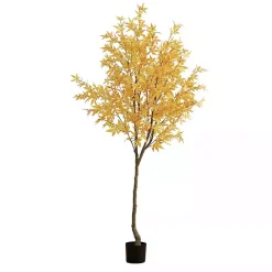 Hot Maple Tree in Black Planter, 7 ft. Trees & Topiaries