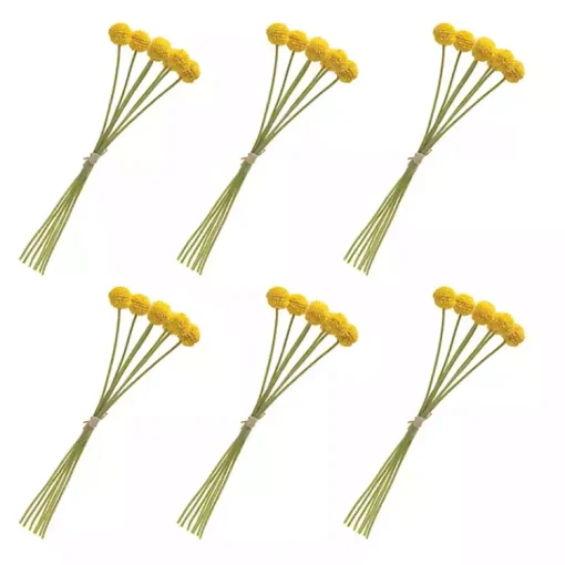 Clearance Pod Sprays, Set of 6 Stems & Bouquets