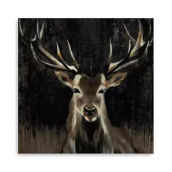 Kirklands Home Canvas Art|Young Buck Giclee Canvas Art Print, 40x40 in. Black